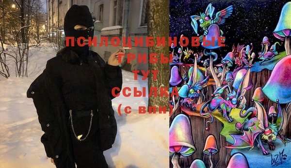 альфа пвп Елизово