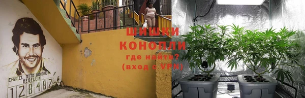 соль курить ск Заводоуковск